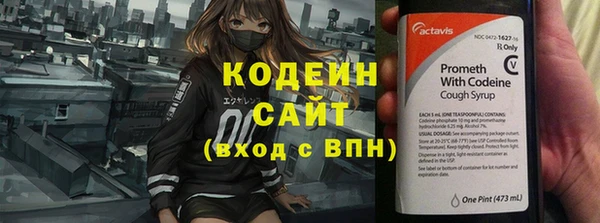 СК Кострома