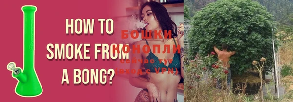 СК Великий Новгород